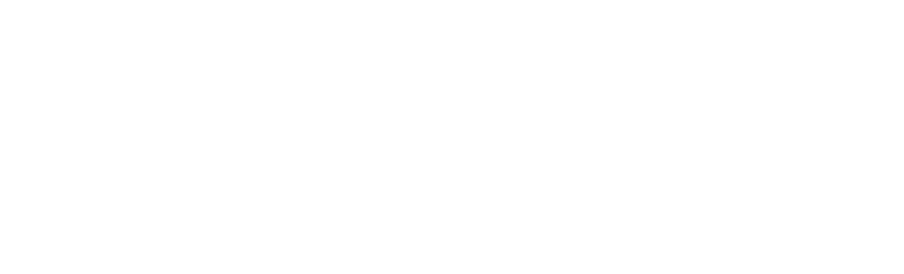Travelean